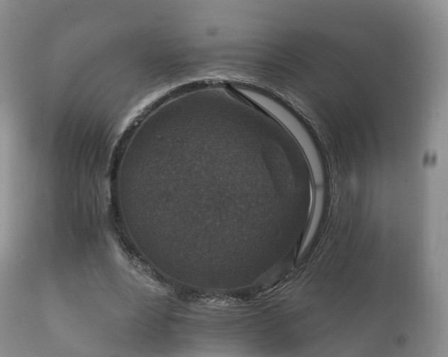 X0000112350488200908201443
