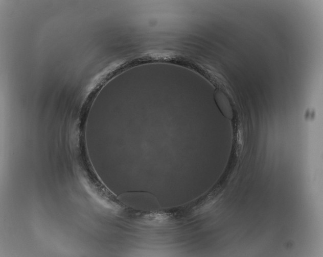 X0000112350492200908201443