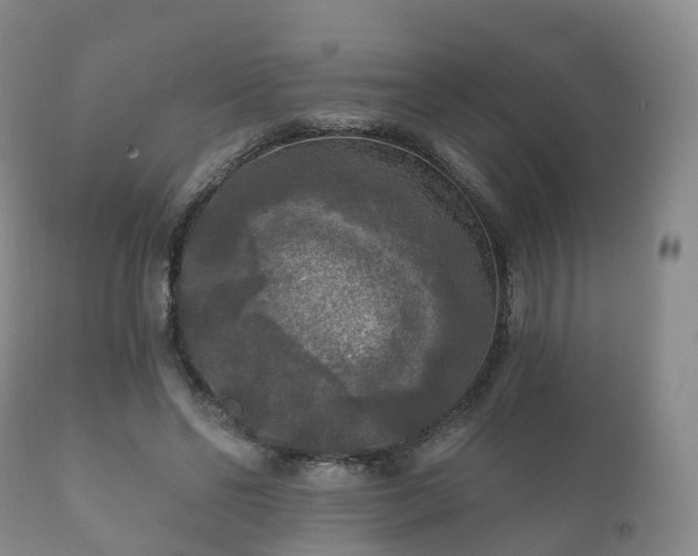 X0000112350494200908201443