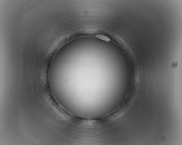 X0000112350497200908201443