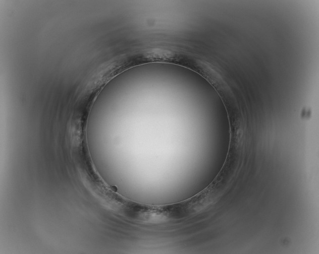 X0000112350498200908201443