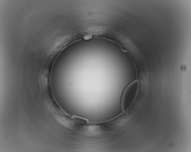X0000112350501200908201443