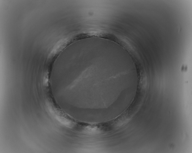 X0000112350502200908201443