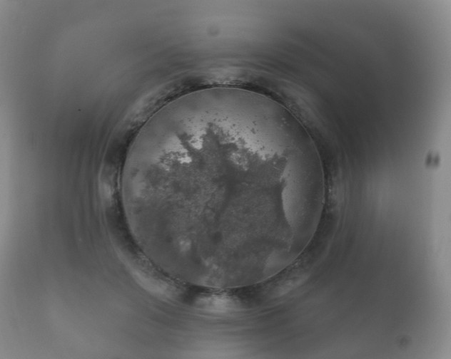 X0000112350503200908201443