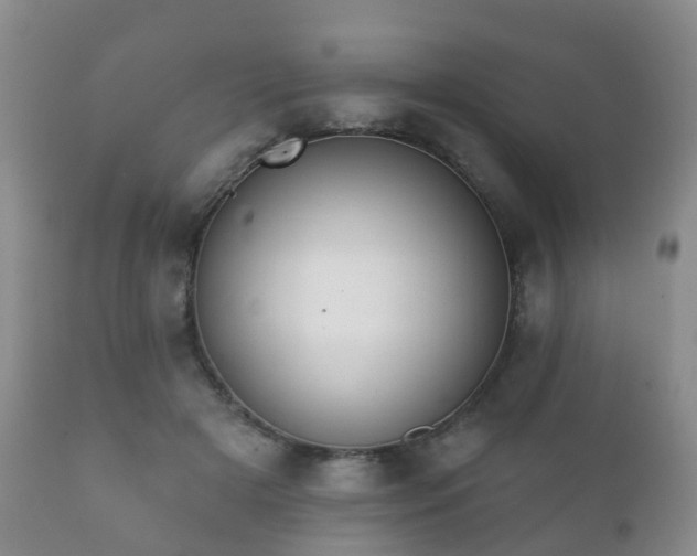 X0000112350505200908201443