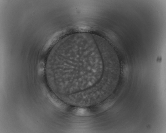 X0000112350507200908201443