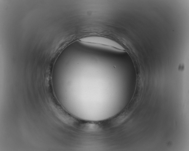 X0000112350509200908201443