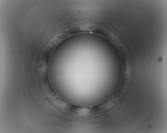 X0000112350513200908201443