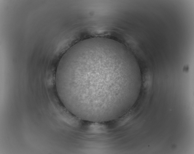 X0000112350515200908201443