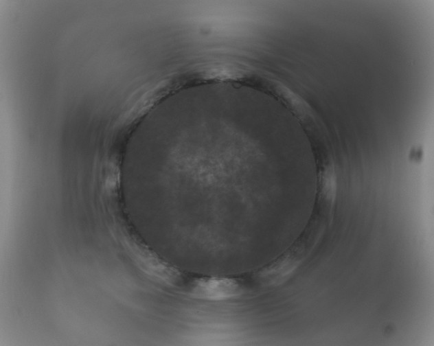 X0000112350517200908201443