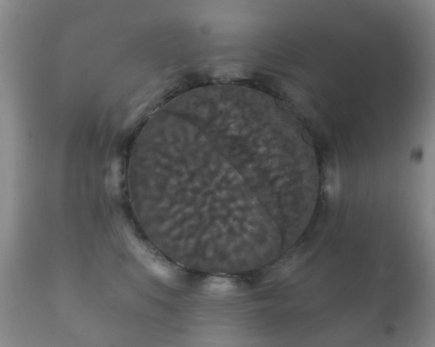 X0000112350519200908201443