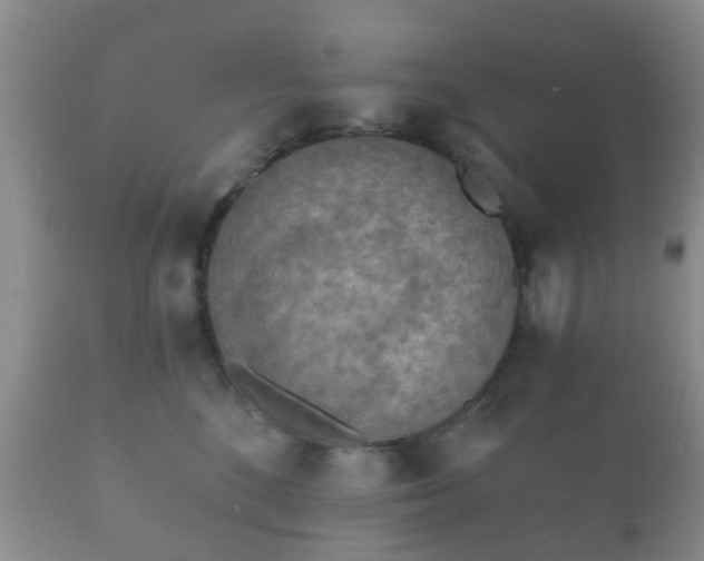 X0000112350520200908201443