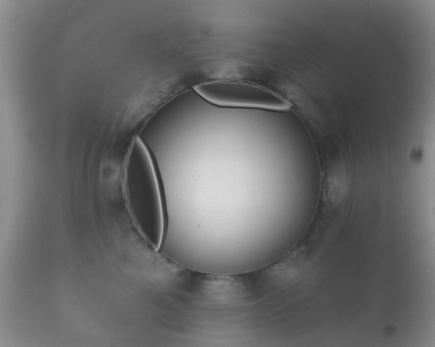 X0000112350521200908201443
