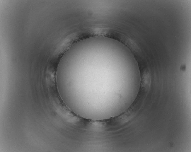 X0000112350522200908201443