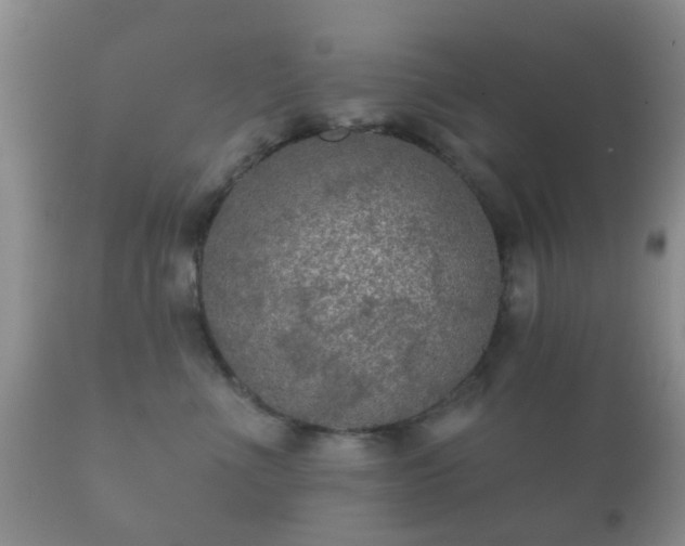 X0000112350523200908201443