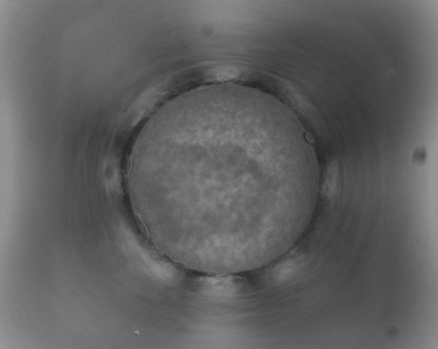 X0000112350524200908201443