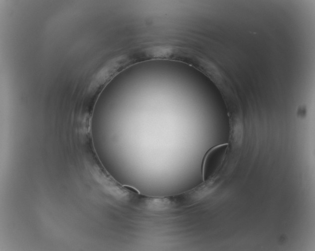 X0000112350525200908201443