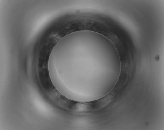 X0000112350526200908201443
