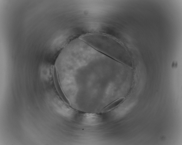 X0000112350528200908201443