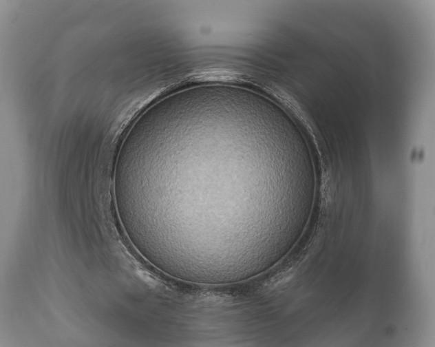 X0000112350529200908201442