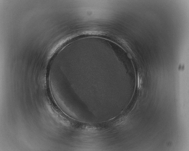 X0000112350531200908201442