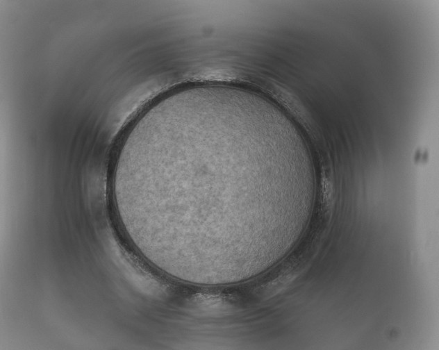 X0000112350534200908201442