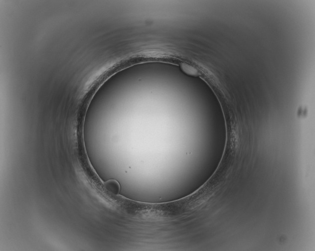 X0000112350535200908201442