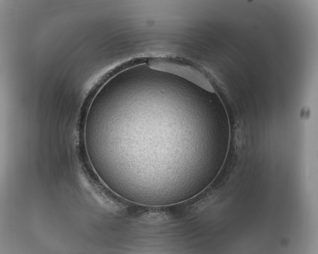 X0000112350536200908201442