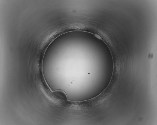X0000112350538200908201442