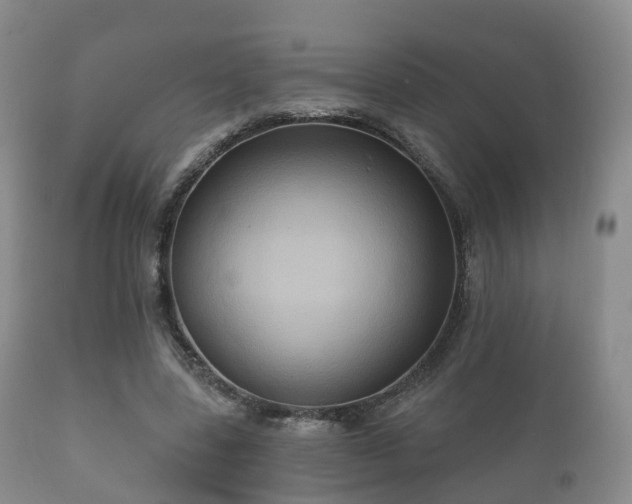 X0000112350539200908201442