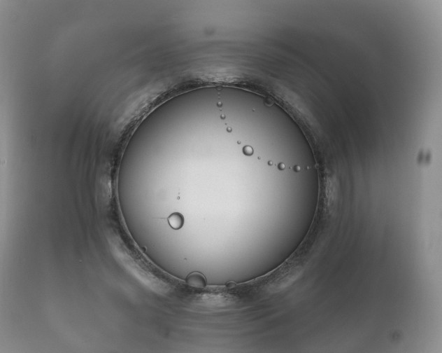 X0000112350541200908201442