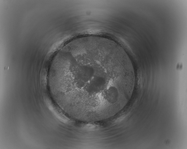 X0000112350542200908201442