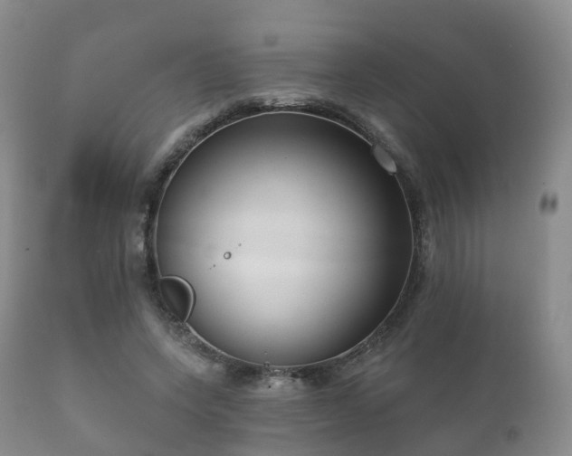 X0000112350543200908201442