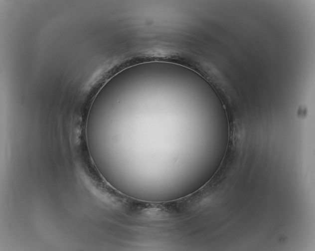 X0000112350544200908201442