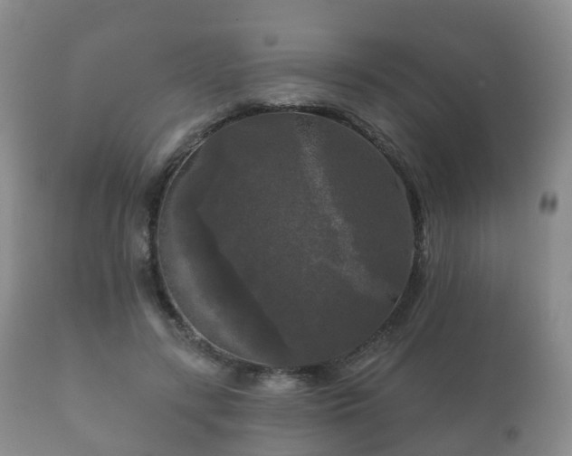 X0000112350547200908201442