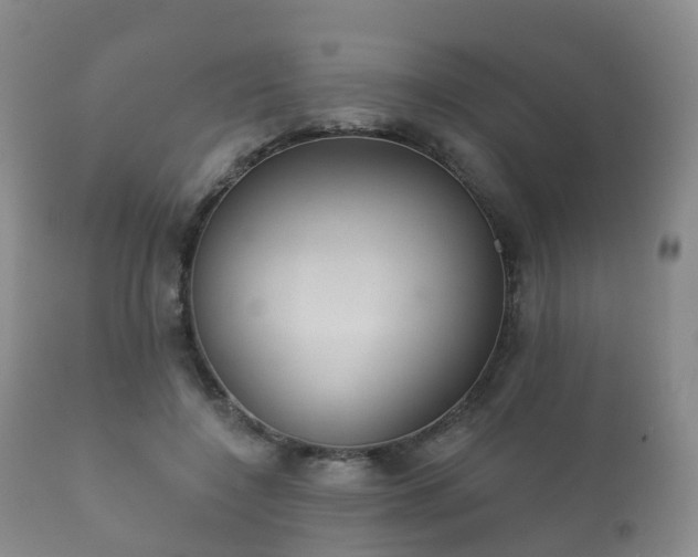 X0000112350548200908201442