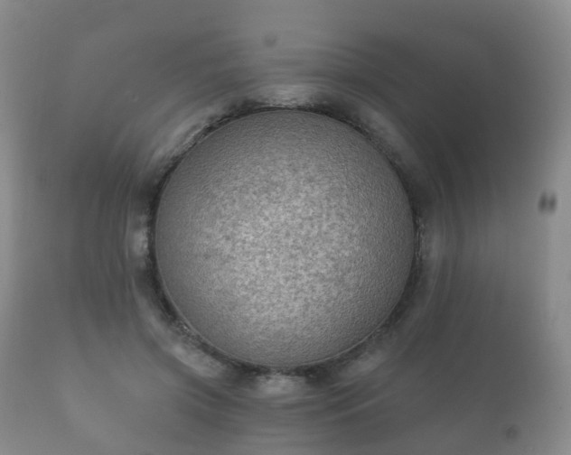X0000112350549200908201442