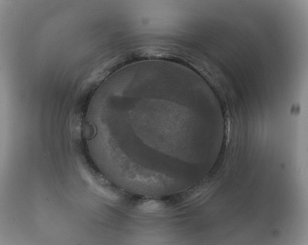 X0000112350551200908201442