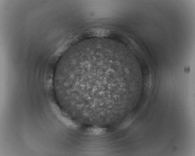 X0000112350553200908201442