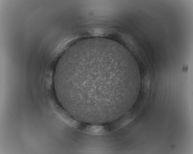 X0000112350554200908201442