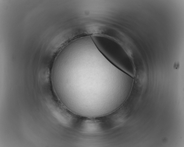 X0000112350556200908201442