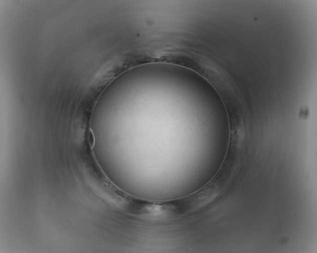 X0000112350558200908201442