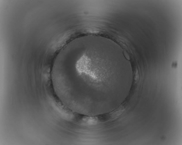 X0000112350559200908201442
