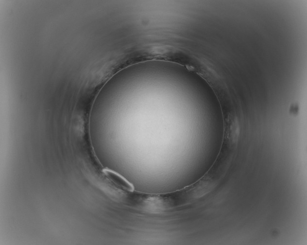 X0000112350562200908201442