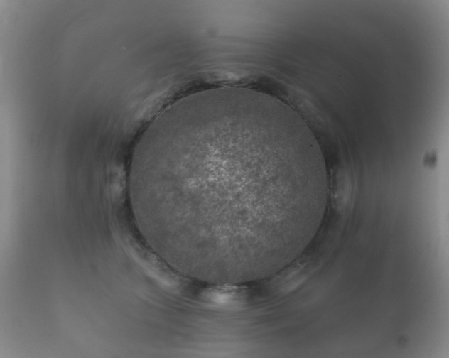X0000112350563200908201442