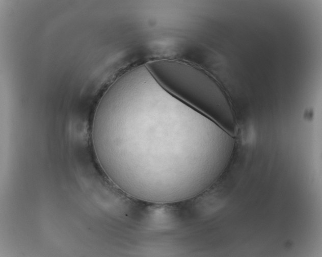 X0000112350564200908201442