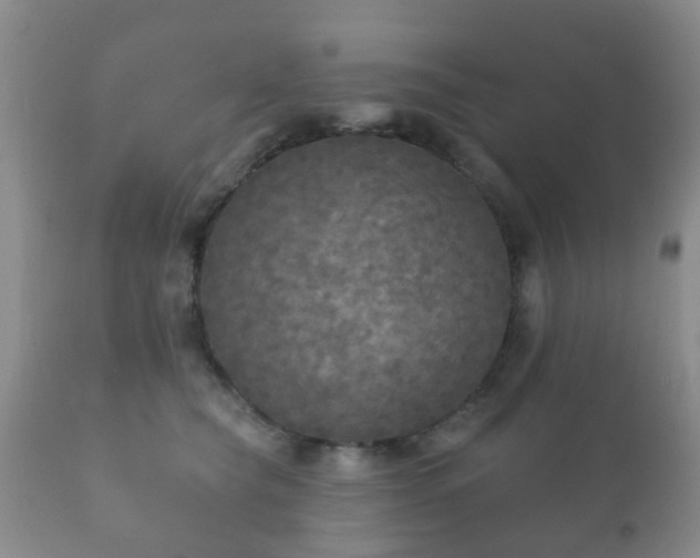 X0000112350565200908201442