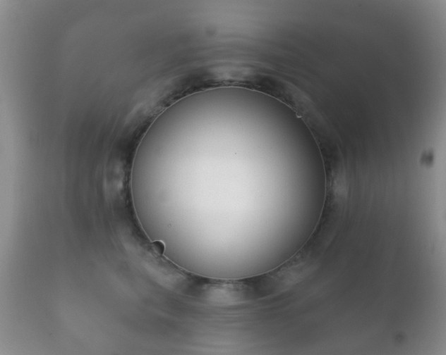 X0000112350567200908201442