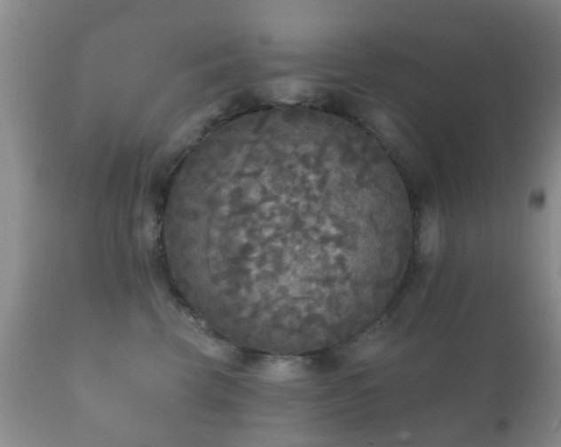 X0000112350569200908201442