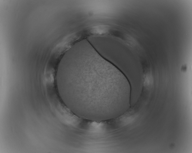 X0000112350570200908201442
